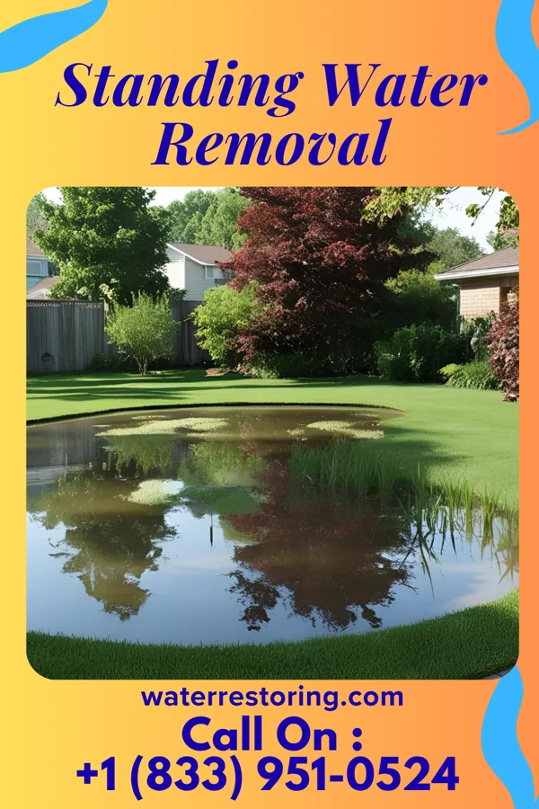 Standing Water Removal in Rhodhiss, NC